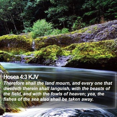 Hosea 4:3 KJV Bible Verse Image