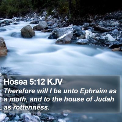 Hosea 5:12 KJV Bible Verse Image