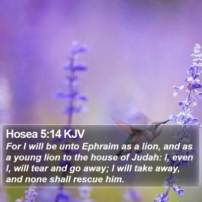 Hosea 5:14 KJV Bible Verse Image