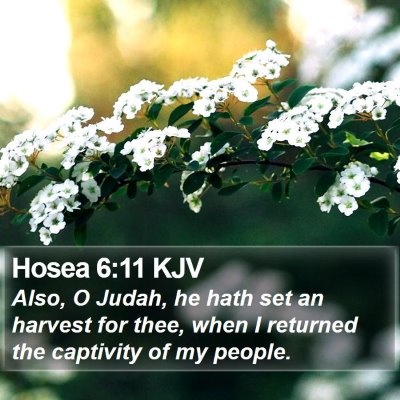 Hosea 6:11 KJV Bible Verse Image
