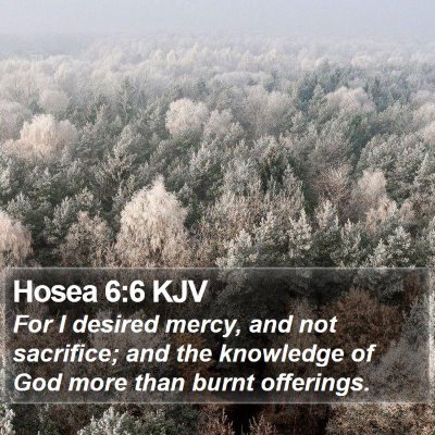 Hosea 6:6 KJV Bible Verse Image