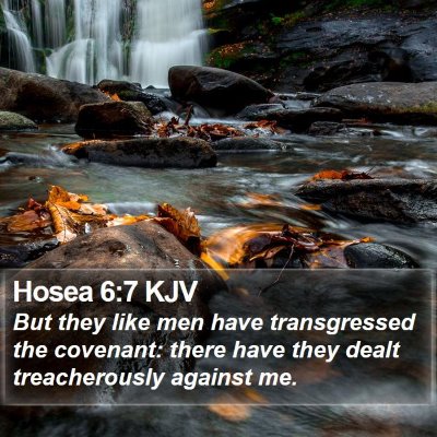 Hosea 6:7 KJV Bible Verse Image
