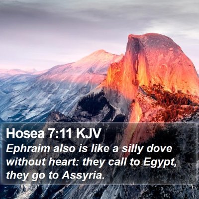 Hosea 7:11 KJV Bible Verse Image