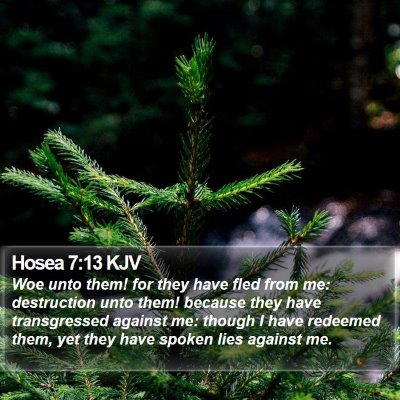 Hosea 7:13 KJV Bible Verse Image