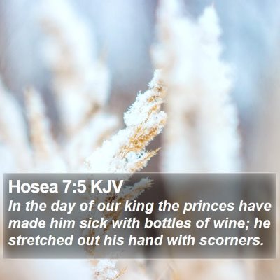 Hosea 7:5 KJV Bible Verse Image