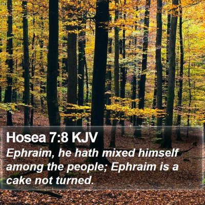 Hosea 7:8 KJV Bible Verse Image