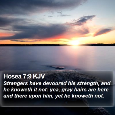 Hosea 7:9 KJV Bible Verse Image