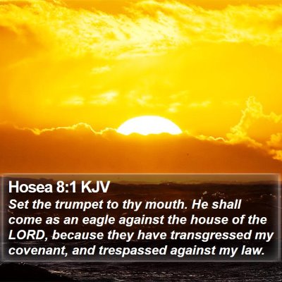 Hosea 8:1 KJV Bible Verse Image