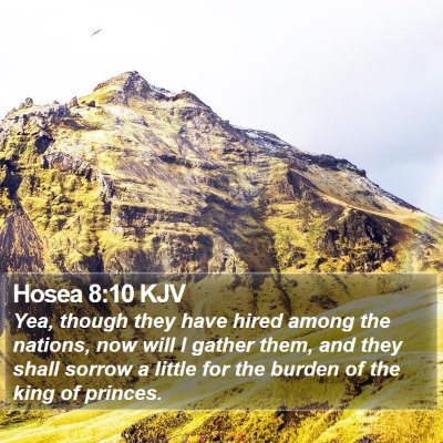 Hosea 8:10 KJV Bible Verse Image