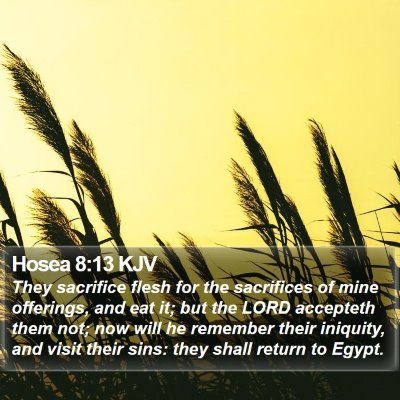 Hosea 8:13 KJV Bible Verse Image