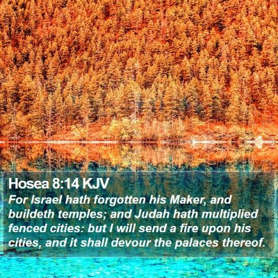 Hosea 8:14 KJV Bible Verse Image