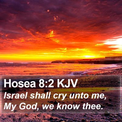 Hosea 8:2 KJV Bible Verse Image