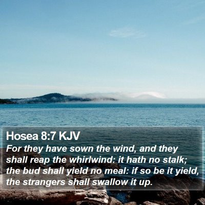 Hosea 8:7 KJV Bible Verse Image