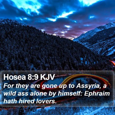 Hosea 8:9 KJV Bible Verse Image