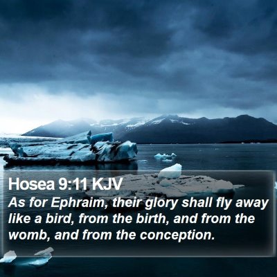 Hosea 9:11 KJV Bible Verse Image