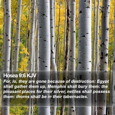 Hosea 9:6 KJV Bible Verse Image