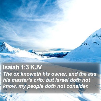 Isaiah 1:3 KJV Bible Verse Image