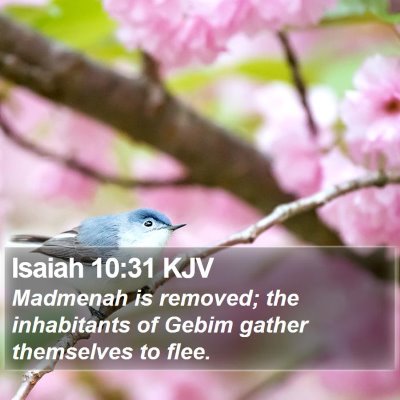 Isaiah 10:31 KJV Bible Verse Image
