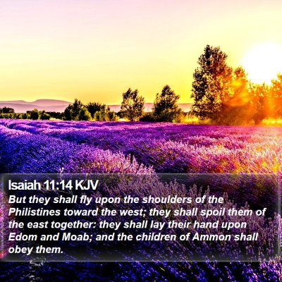 Isaiah 11:14 KJV Bible Verse Image