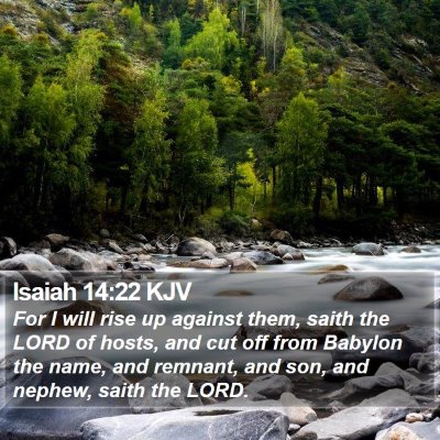 Isaiah 14:22 KJV Bible Verse Image