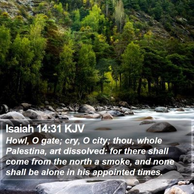 Isaiah 14:31 KJV Bible Verse Image