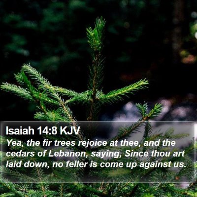 Isaiah 14:8 KJV Bible Verse Image