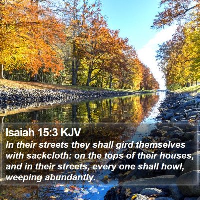 Isaiah 15:3 KJV Bible Verse Image