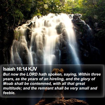 Isaiah 16:14 KJV Bible Verse Image