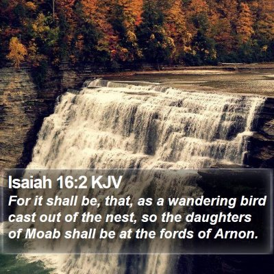 Isaiah 16:2 KJV Bible Verse Image