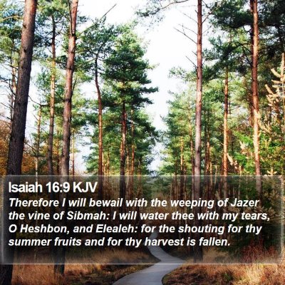 Isaiah 16:9 KJV Bible Verse Image