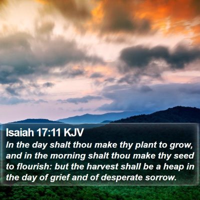 Isaiah 17:11 KJV Bible Verse Image