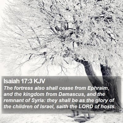 Isaiah 17:3 KJV Bible Verse Image