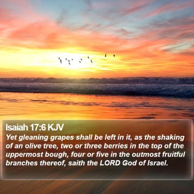 Isaiah 17:6 KJV Bible Verse Image