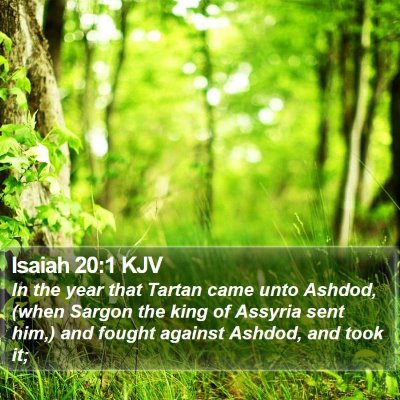 Isaiah 20:1 KJV Bible Verse Image