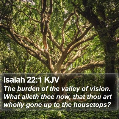 Isaiah 22:1 KJV Bible Verse Image