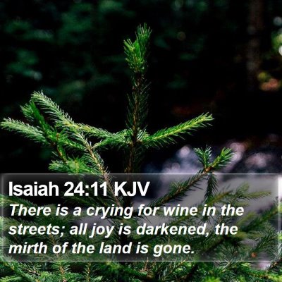 Isaiah 24:11 KJV Bible Verse Image