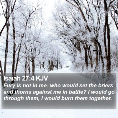 Isaiah 27:4 KJV Bible Verse Image