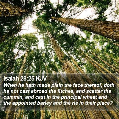 Isaiah 28:25 KJV Bible Verse Image
