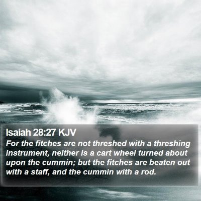 Isaiah 28:27 KJV Bible Verse Image