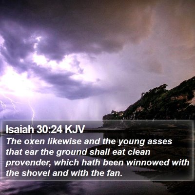 Isaiah 30:24 KJV Bible Verse Image