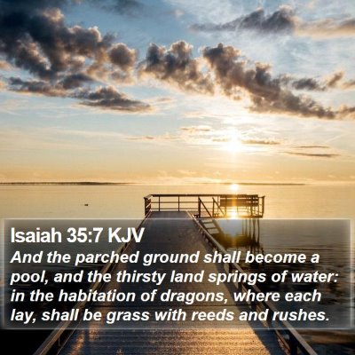 Isaiah 35:7 KJV Bible Verse Image