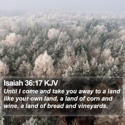 Isaiah 36:17 KJV Bible Verse Image