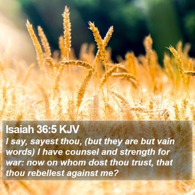 Isaiah 36:5 KJV Bible Verse Image