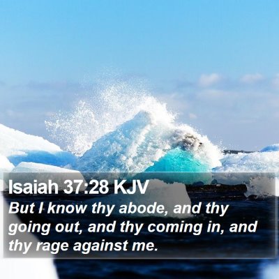 Isaiah 37:28 KJV Bible Verse Image
