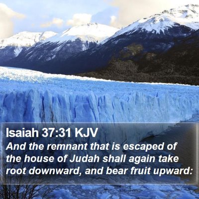 Isaiah 37:31 KJV Bible Verse Image