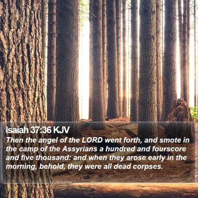 Isaiah 37:36 KJV Bible Verse Image