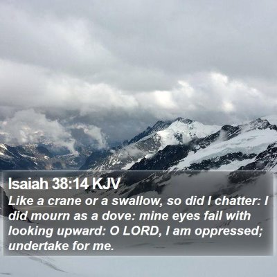 Isaiah 38:14 KJV Bible Verse Image