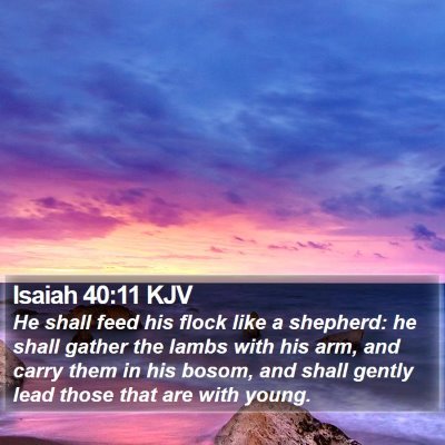 Isaiah 40:11 KJV Bible Verse Image