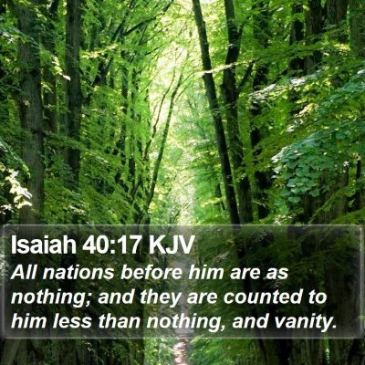 Isaiah 40:17 KJV Bible Verse Image