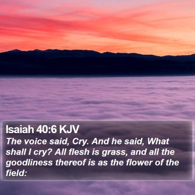 Isaiah 40:6 KJV Bible Verse Image
